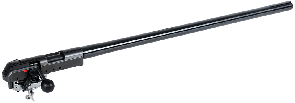 Anschütz Wechselsystem Mod. 1761 Match